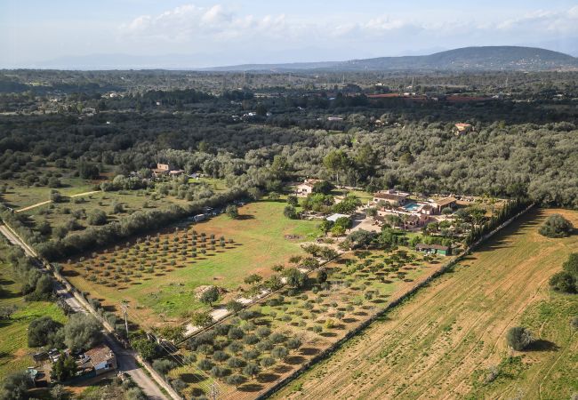 Finca in Algaida - Cas Misser Finca in Algaida - Cas Misser