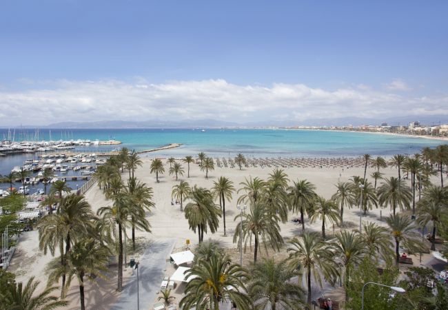 Villa in Puigderrós  - Villa Maioris Villa in Puigderrós  - Villa Maioris