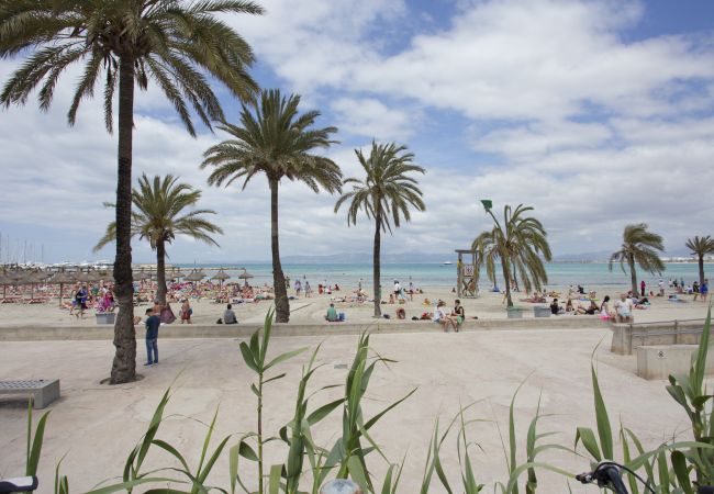 Villa in Puigderrós  - Villa Maioris Villa in Puigderrós  - Villa Maioris