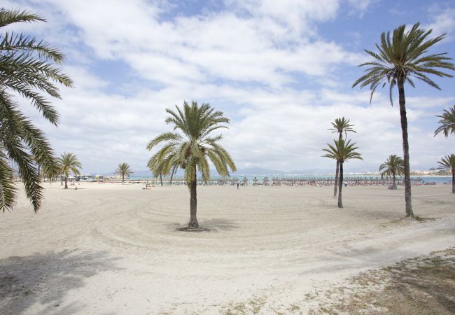 Villa in Puigderrós  - Villa Maioris Villa in Puigderrós  - Villa Maioris