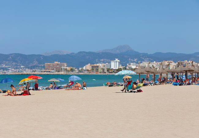 Villa in Puigderrós  - Villa Maioris Villa in Puigderrós  - Villa Maioris