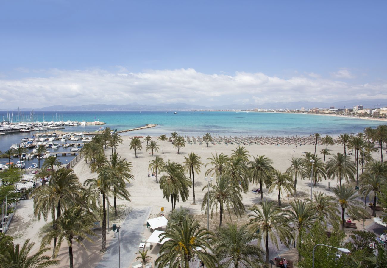 Villa in Puigderrós  - Villa Maioris Villa in Puigderrós  - Villa Maioris