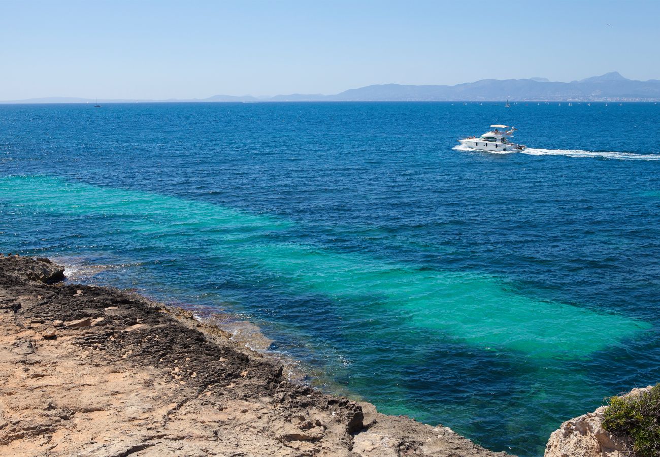 Villa in Puigderrós  - Villa Maioris Villa in Puigderrós  - Villa Maioris