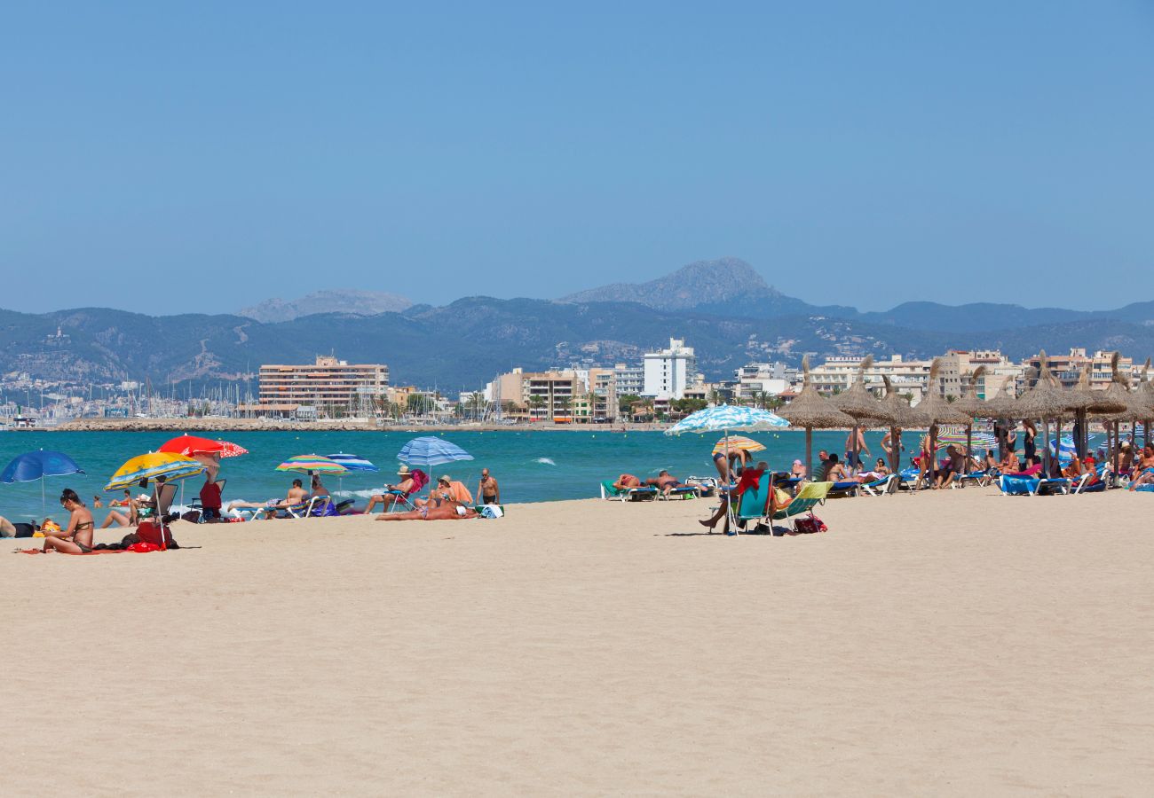 Villa in Puigderrós  - Villa Maioris Villa in Puigderrós  - Villa Maioris