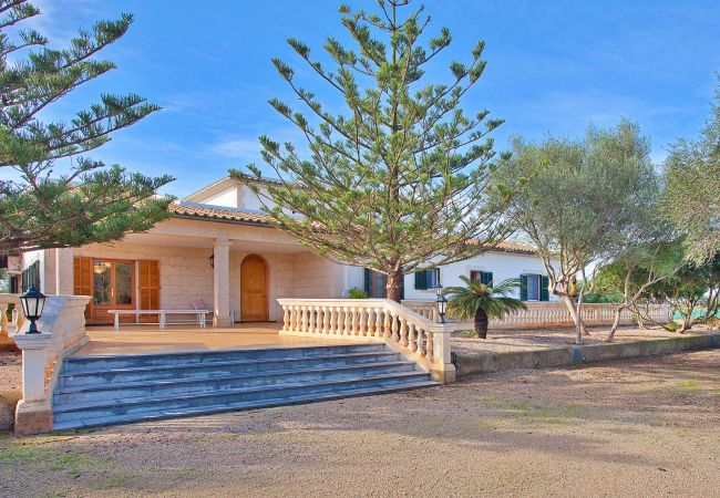 Villa in Palma de Mallorca - Can Reto