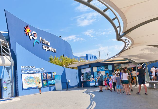 Huis in Arenal - Ca na Miquela Huis in Arenal - Ca na Miquela