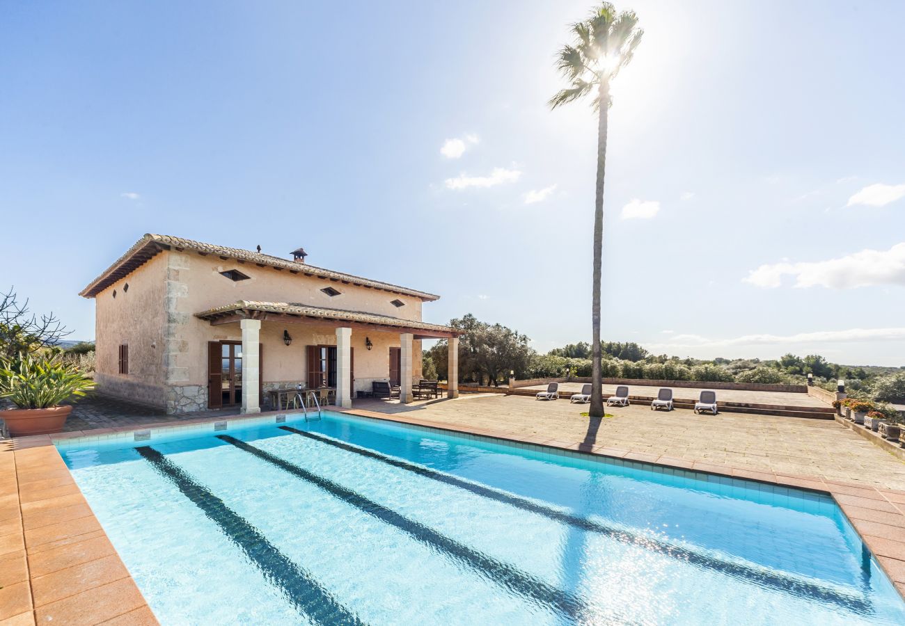 Finca in San Jordi - Son Binissalom